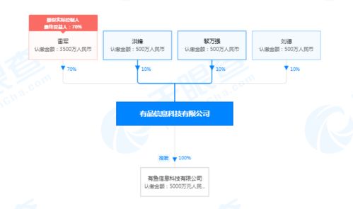 小米有品業(yè)務(wù)擴展 新增家用電器安裝與信息系統(tǒng)運維服務(wù)